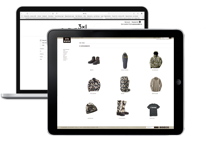 bigcommerce website