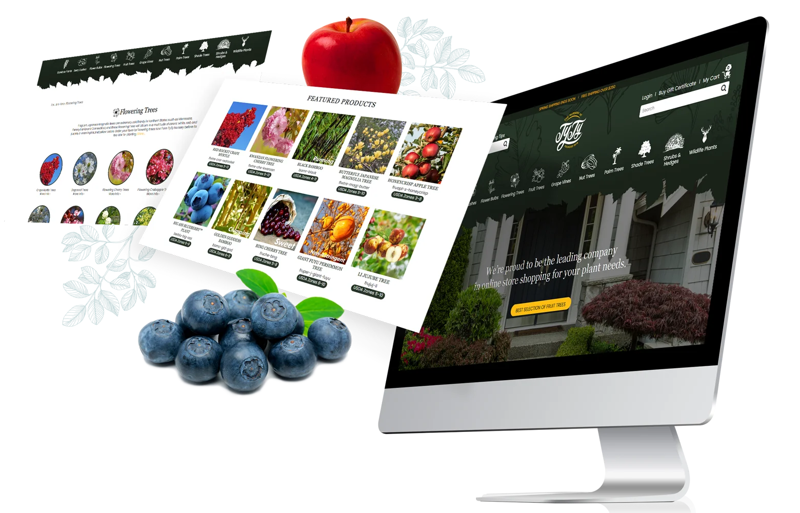 Development case study for TYTYGa.com Development case study for TYTYGa.com