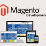 Top 5 Reasons to Consider Magento for Your eCommerce Site