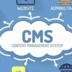 Content Still Reigns Supreme In 2020: Why You Need To Make Use of a CMS