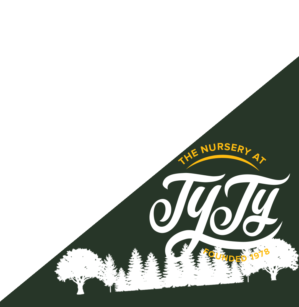 TyTy Nursery - Volusion Design and Development